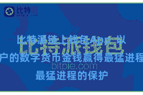 比特派链上钱包App 以确保用户的数字货币金钱赢得最猛进程的保护