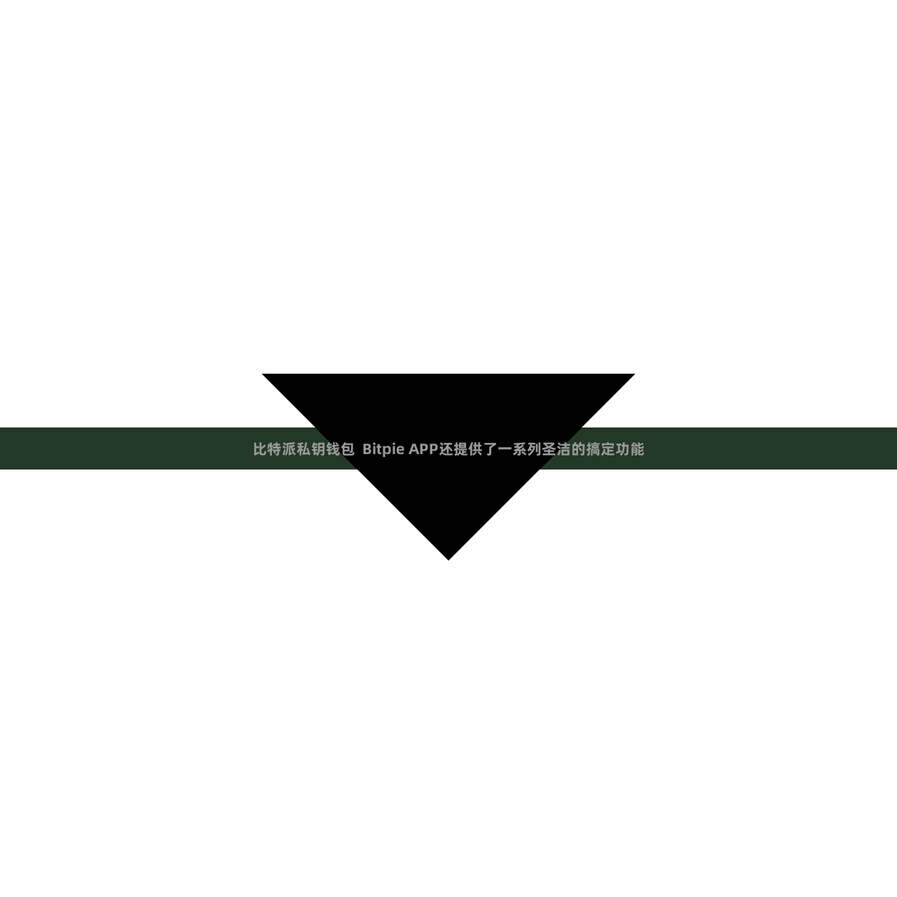 比特派私钥钱包 Bitpie APP还提供了一系列圣洁的搞定功能