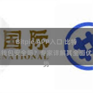 Bitpie APP入口 比特派钱包安全吗？专家详解其全面优势