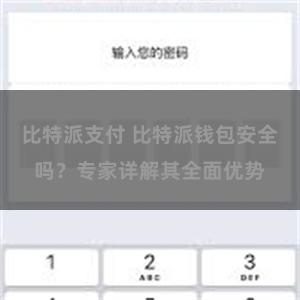 比特派支付 比特派钱包安全吗？专家详解其全面优势