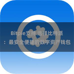 Bitpie支持 选择比特派：最安全便捷的数字资产钱包