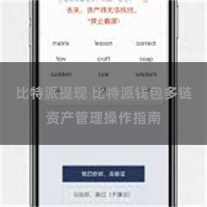 比特派提现 比特派钱包多链资产管理操作指南