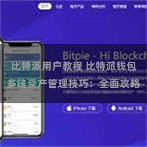 比特派用户教程 比特派钱包多链资产管理技巧：全面攻略