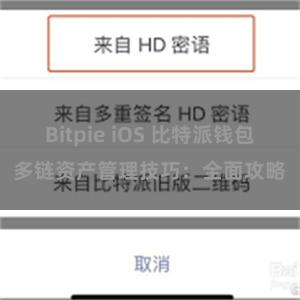 Bitpie iOS 比特派钱包多链资产管理技巧：全面攻略