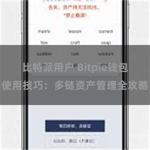 比特派用户 Bitpie钱包使用技巧：多链资产管理全攻略