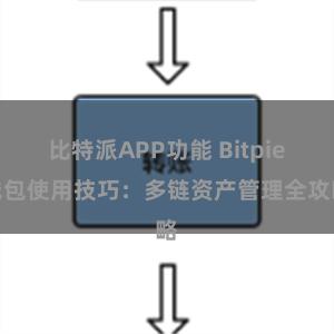 比特派APP功能 Bitpie钱包使用技巧：多链资产管理全攻略