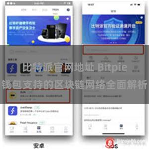 比特派官网地址 Bitpie钱包支持的区块链网络全面解析