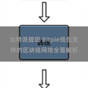 比特派提现 Bitpie钱包支持的区块链网络全面解析