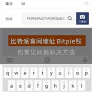 比特派官网地址 Bitpie钱包常见问题解决方法