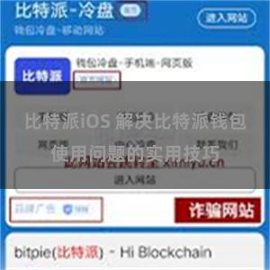 比特派iOS 解决比特派钱包使用问题的实用技巧