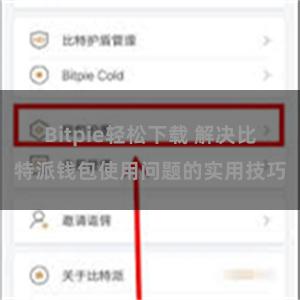 Bitpie轻松下载 解决比特派钱包使用问题的实用技巧