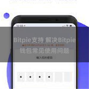 Bitpie支持 解决Bitpie钱包常见使用问题