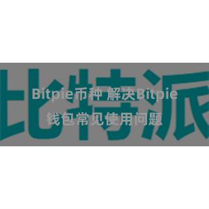 Bitpie币种 解决Bitpie钱包常见使用问题