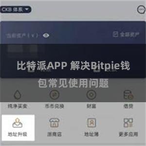 比特派APP 解决Bitpie钱包常见使用问题