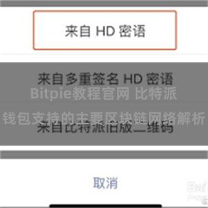 Bitpie教程官网 比特派钱包支持的主要区块链网络解析