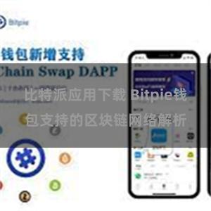 比特派应用下载 Bitpie钱包支持的区块链网络解析