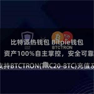 比特派热钱包 Bitpie钱包：资产100%自主掌控，安全可靠。