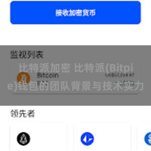 比特派加密 比特派(Bitpie)钱包的团队背景与技术实力