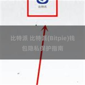 比特派 比特派(Bitpie)钱包隐私保护指南