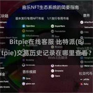 Bitpie在线客服 比特派(Bitpie)交易历史记录在哪里查看？