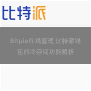 Bitpie在线管理 比特派钱包的冷存储功能解析