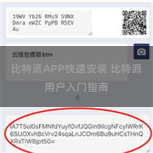 比特派APP快速安装 比特派用户入门指南