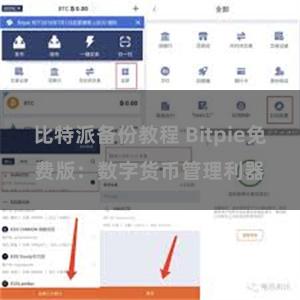 比特派备份教程 Bitpie免费版：数字货币管理利器