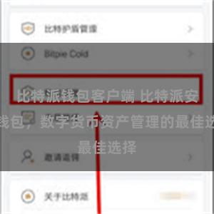 比特派钱包客户端 比特派安全钱包，数字货币资产管理的最佳选择