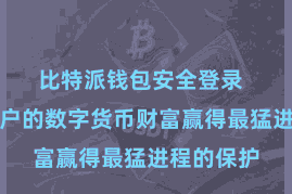 比特派钱包安全登录  以确保用户的数字货币财富赢得最猛进程的保护
