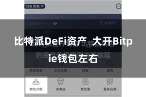 比特派DeFi资产 大开Bitpie钱包左右