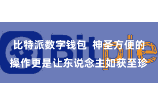 比特派数字钱包  神圣方便的操作更是让东说念主如获至珍
