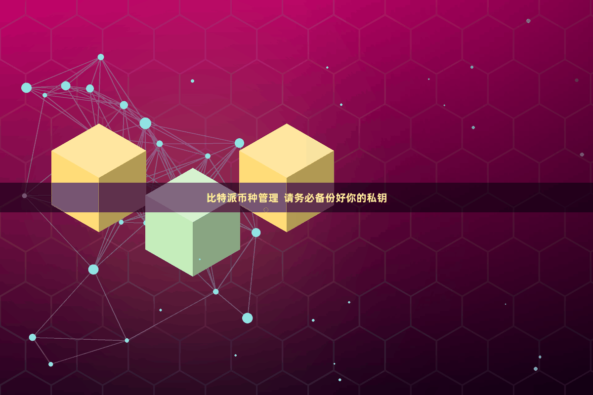 比特派币种管理 请务必备份好你的私钥